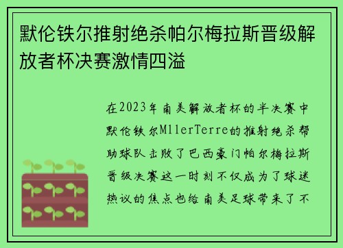默伦铁尔推射绝杀帕尔梅拉斯晋级解放者杯决赛激情四溢